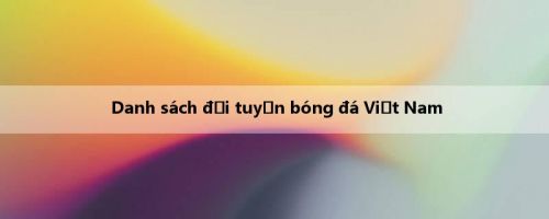 Danh sách đội tuyển bóng đá Việt Nam